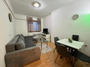 City Center One-Bedroom Loft Apartment